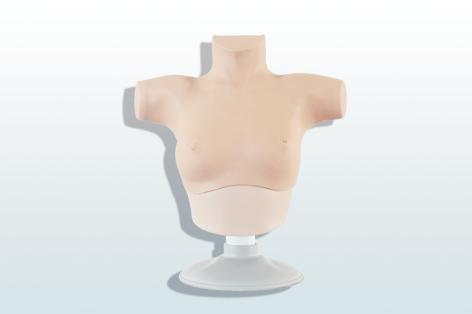 乳腺癌觸診、視診訓(xùn)練模型